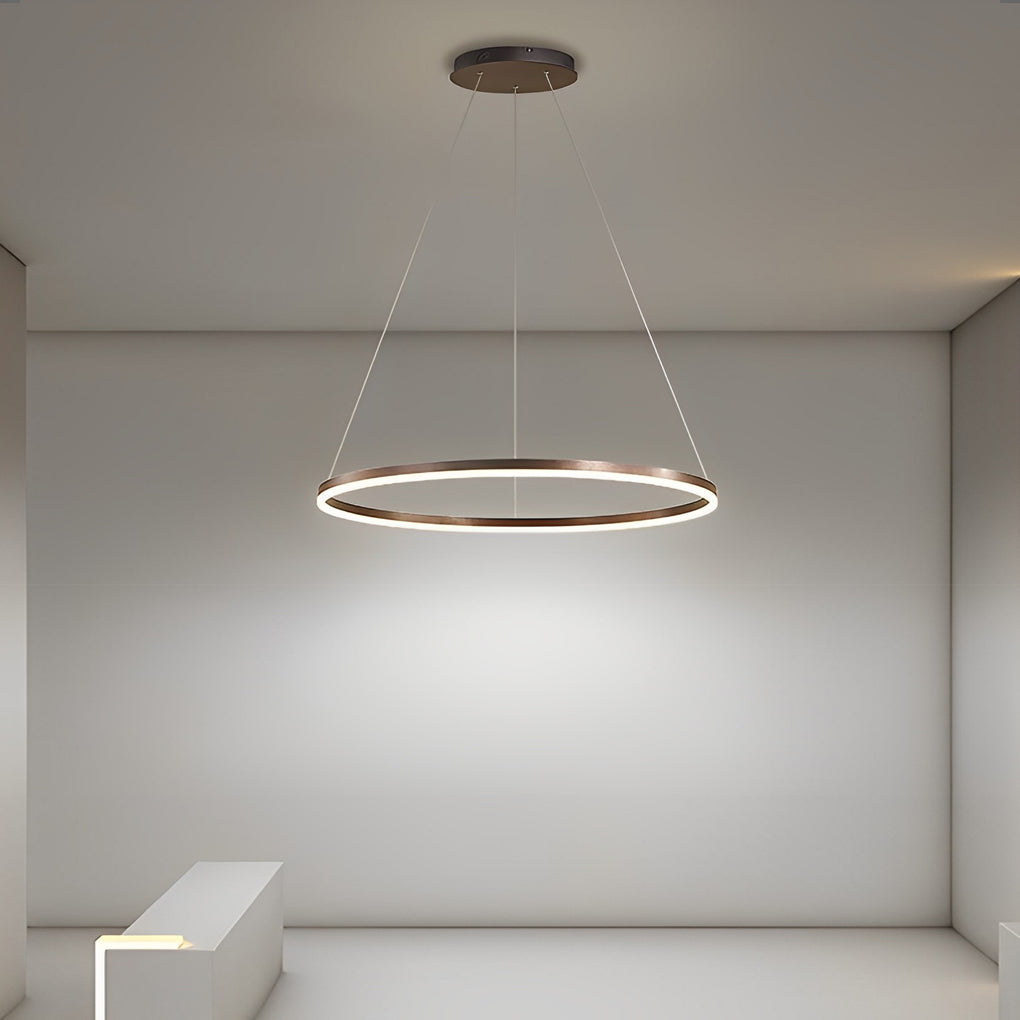 16'' Simple Circle Single Pendant Lighting Acrylic Pendant Lighting