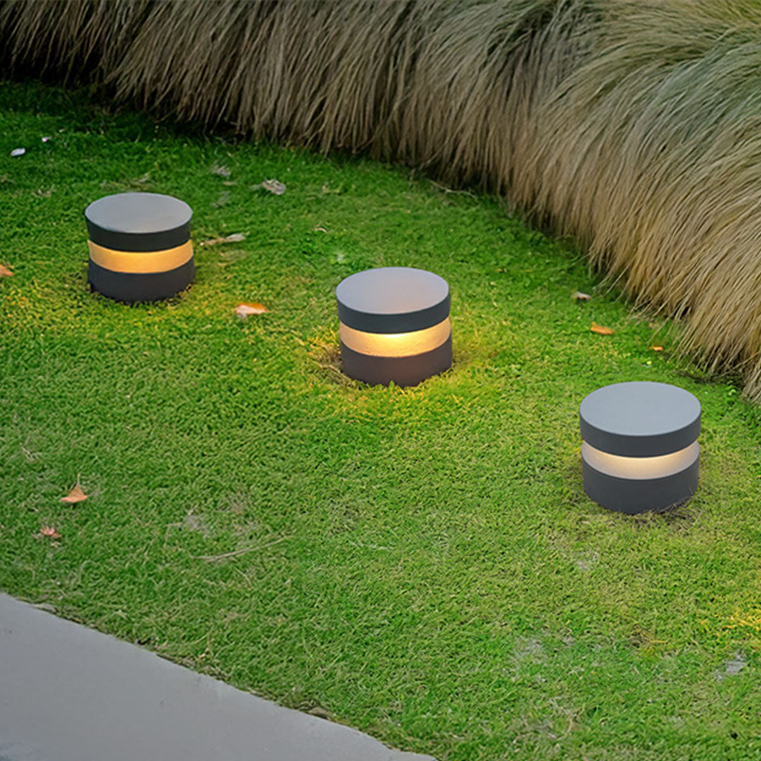 Round 110v landscape lights placed on lawn grass, creating a clean and modern pathway lighting effect at night.