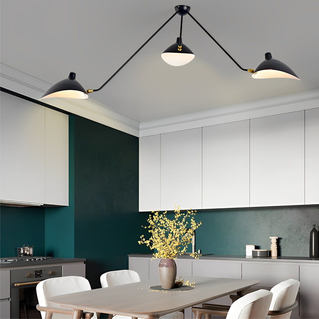 Rotatable 3 Lights Creative Duckbill Black Modern Ceiling Lighting Fixture