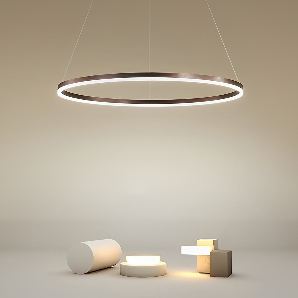 16'' Simple Circle Single Pendant Lighting Acrylic Pendant Lighting