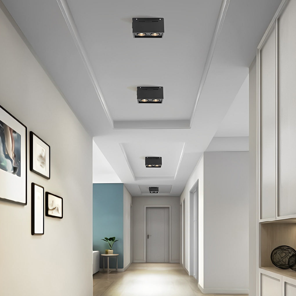 Rectangular 2 Lights Adjustable LED Modern Surface Mounted Spotlights - Dazuma