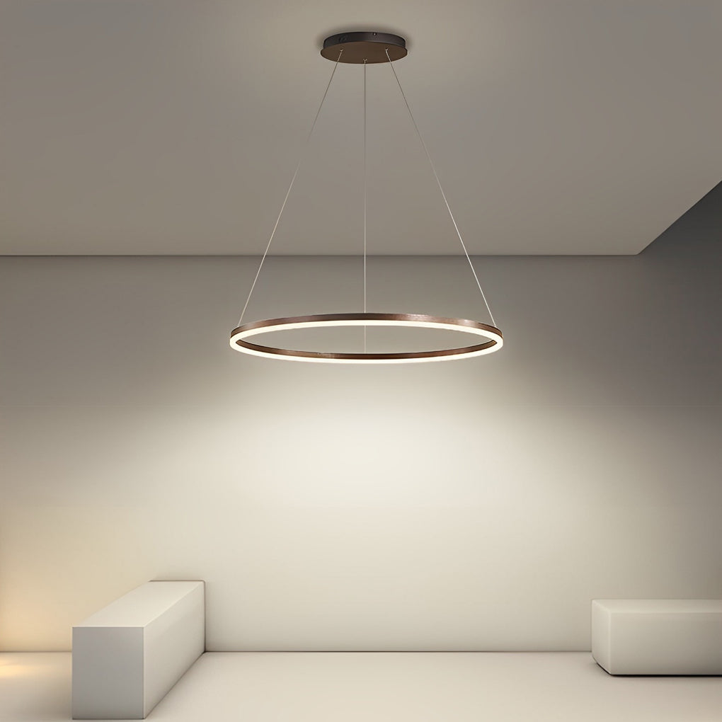 16'' Simple Circle Single Pendant Lighting Acrylic Pendant Lighting
