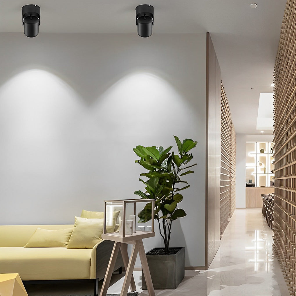 Adjustable downlights with a black and white finish, enhancing a modern interior.