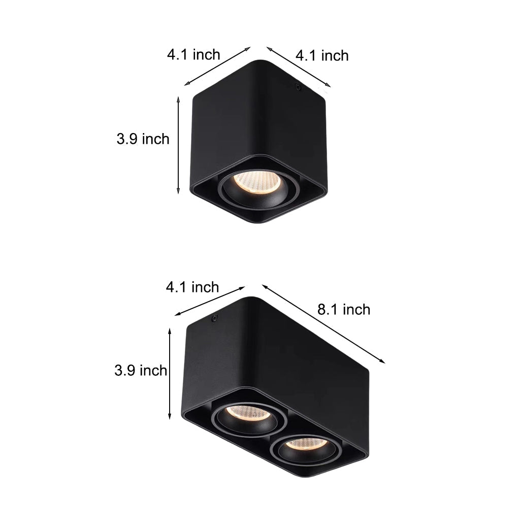 Surface mounted spot light with black finish and adjustable dual heads.