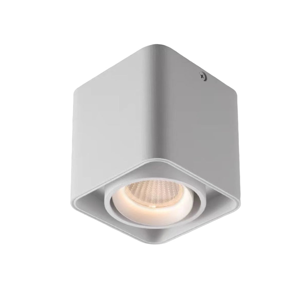 Surface mounted spot light with black finish and dual heads.