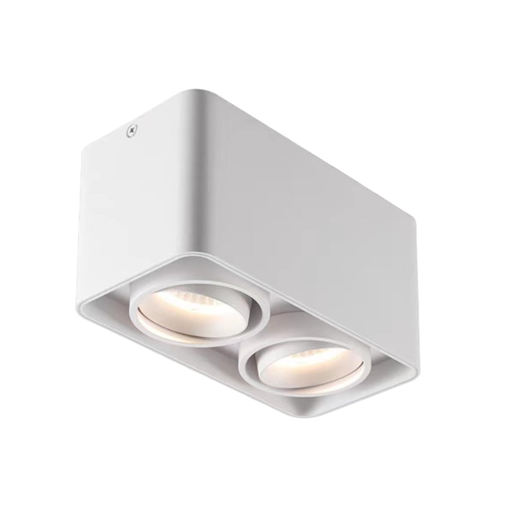 Surface mounted spot light with black finish and single head.