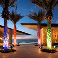 Color-changing ground spike solar lights illuminating tall palm trees along a modern outdoor walkway at dusk.
