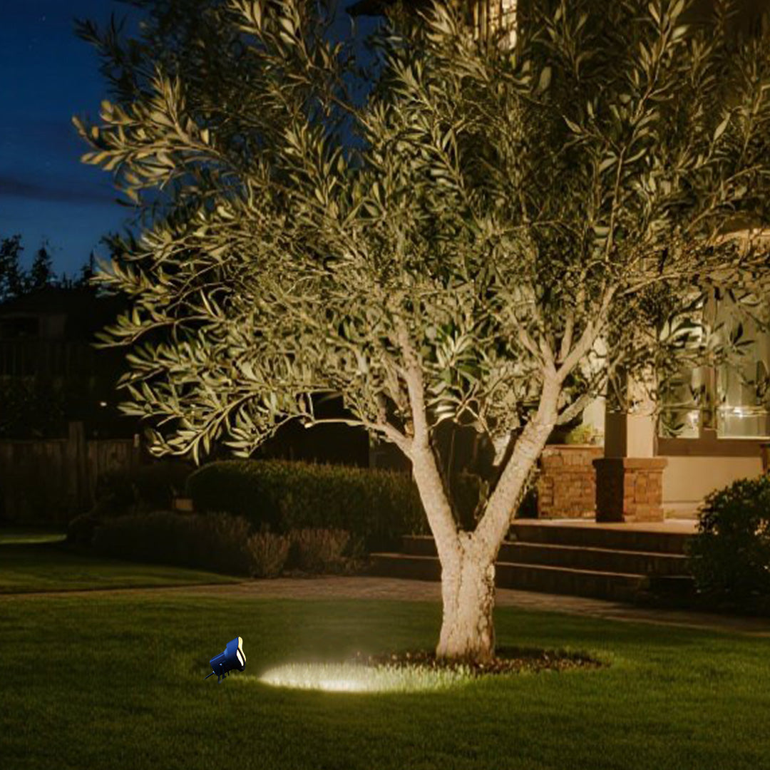 Compact LED spotlight with robust construction and adjustable positioning for garden accent lighting.