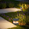 Contemporary path lights installed along a garden walkway, providing soft illumination for plants and paving stones in a modern landscape.