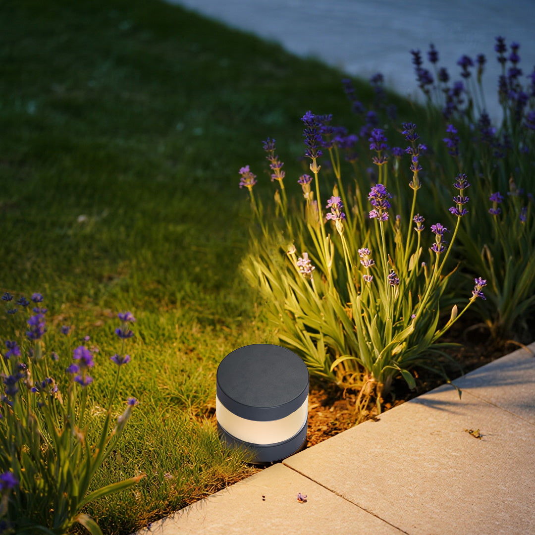 Contemporary path lights placed beside lawn and flowers, creating a clear and welcoming route through a landscaped yard.