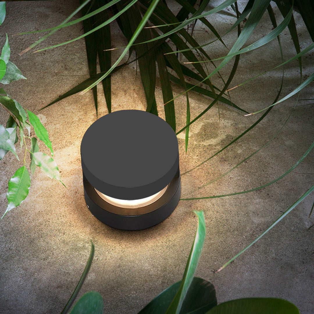 Close up of contemporary path lights set among greenery, highlighting a compact round design with warm light for outdoor paths.