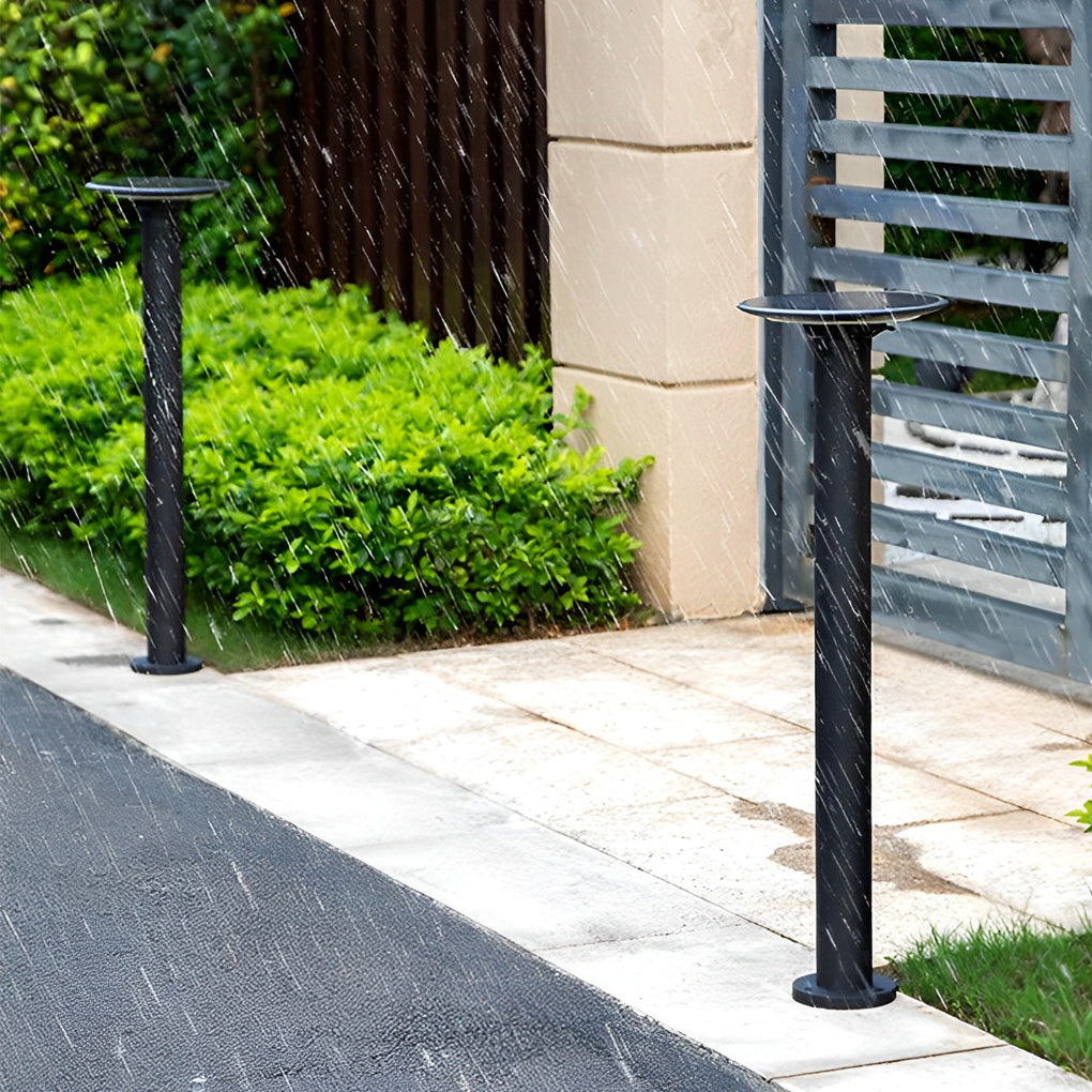 Decorative solar path lights along a driveway edge, offering functional and stylish illumination near a gate entrance.