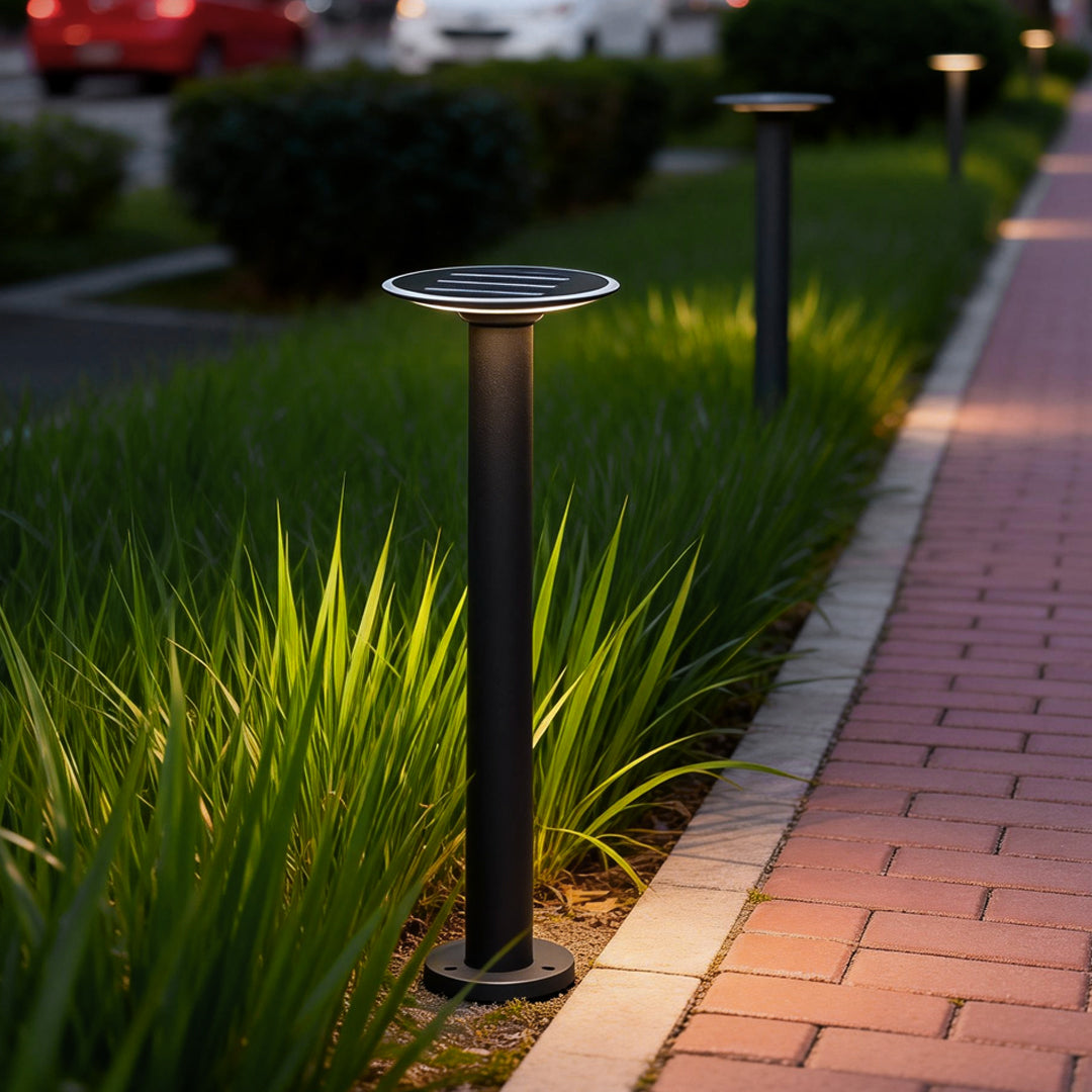 Decorative solar path lights lining a landscaped sidewalk with grass and shrubs, offering elegant nighttime pathway illumination.