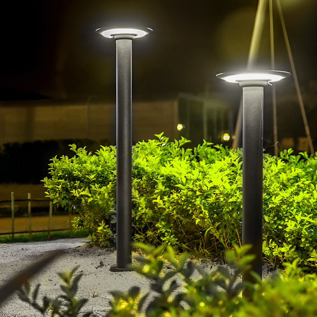 Decorative solar path lights glowing beside bushes at night, enhancing outdoor ambiance and pathway visibility.