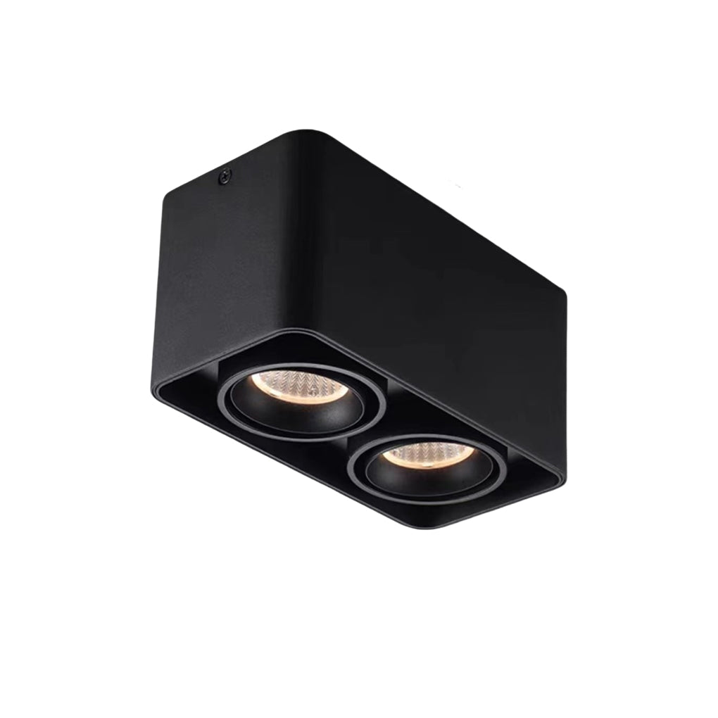 Surface mounted spot light with dual heads and black finish.