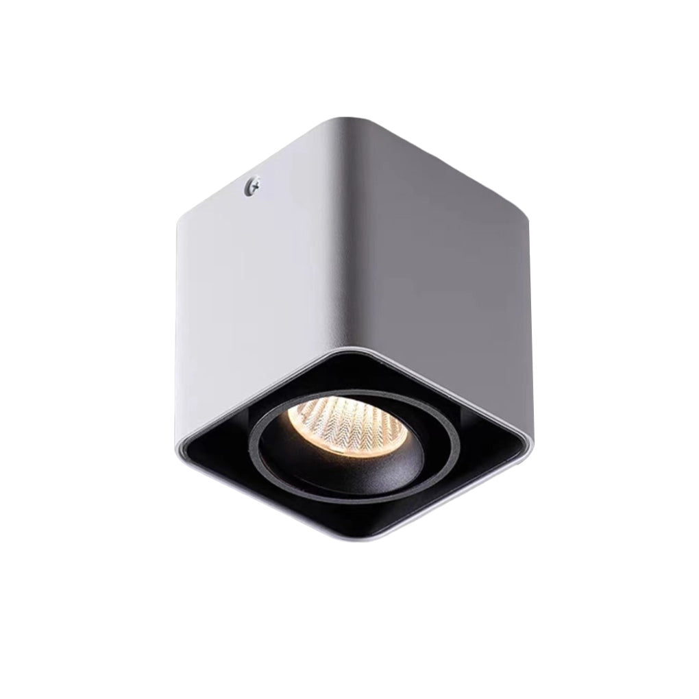 Surface mounted spot light with white finish and dual heads.