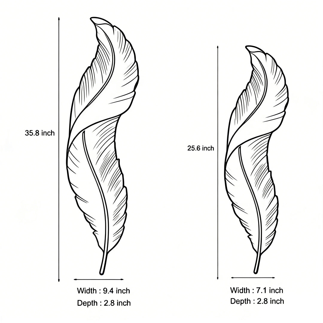 Feather wall light size dimensions diagram showing height and width measurements.