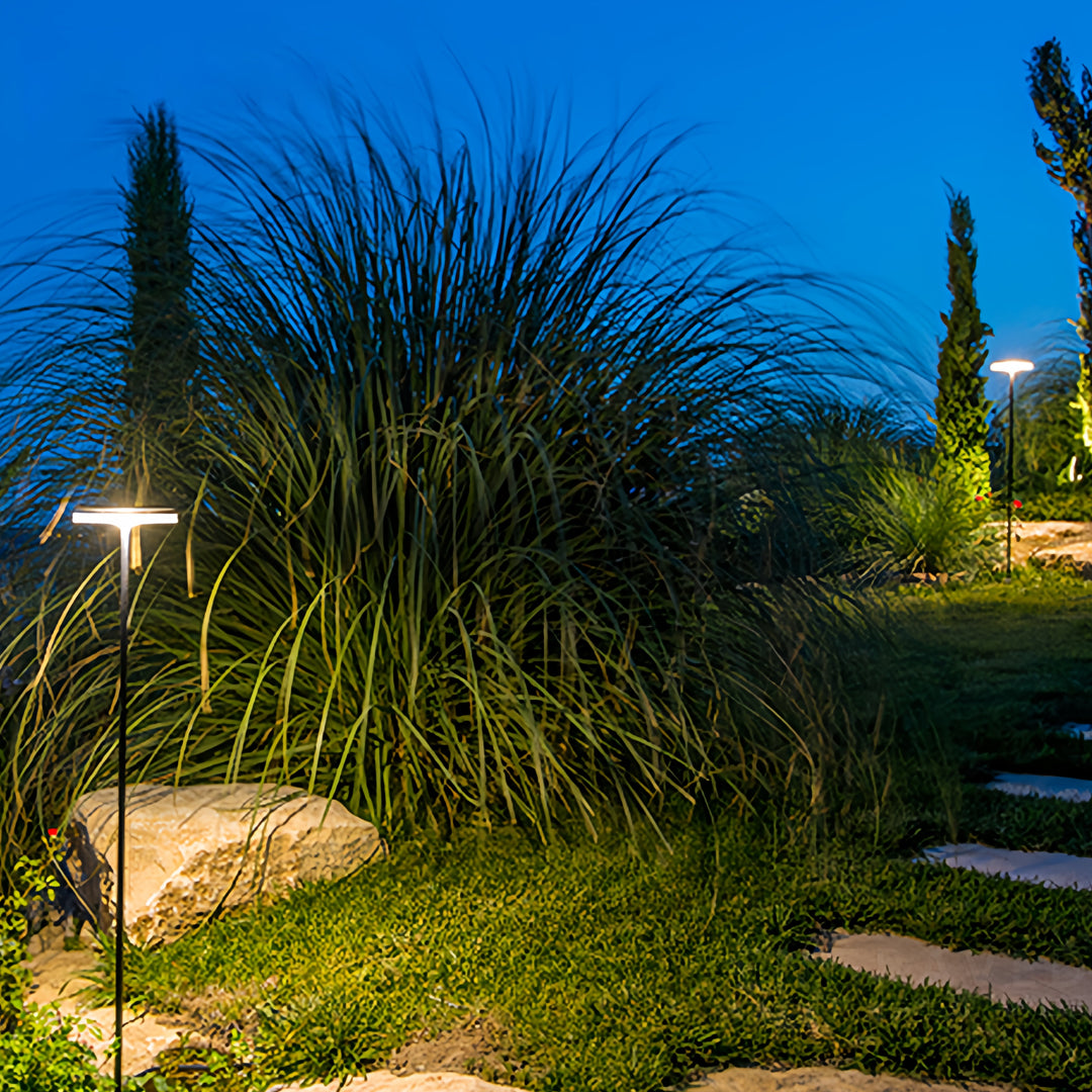 Garden landscape featuring warm LED fixtures creating a defined outdoor lighting path through plants.