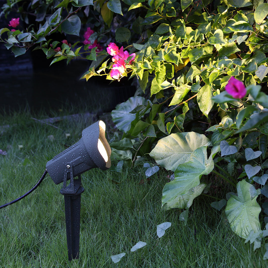 Garden spotlight illuminating colorful flowers and foliage with focused beam in evening setting
