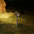 Garden spotlight illuminating tree trunk and foliage with warm accent lighting at night