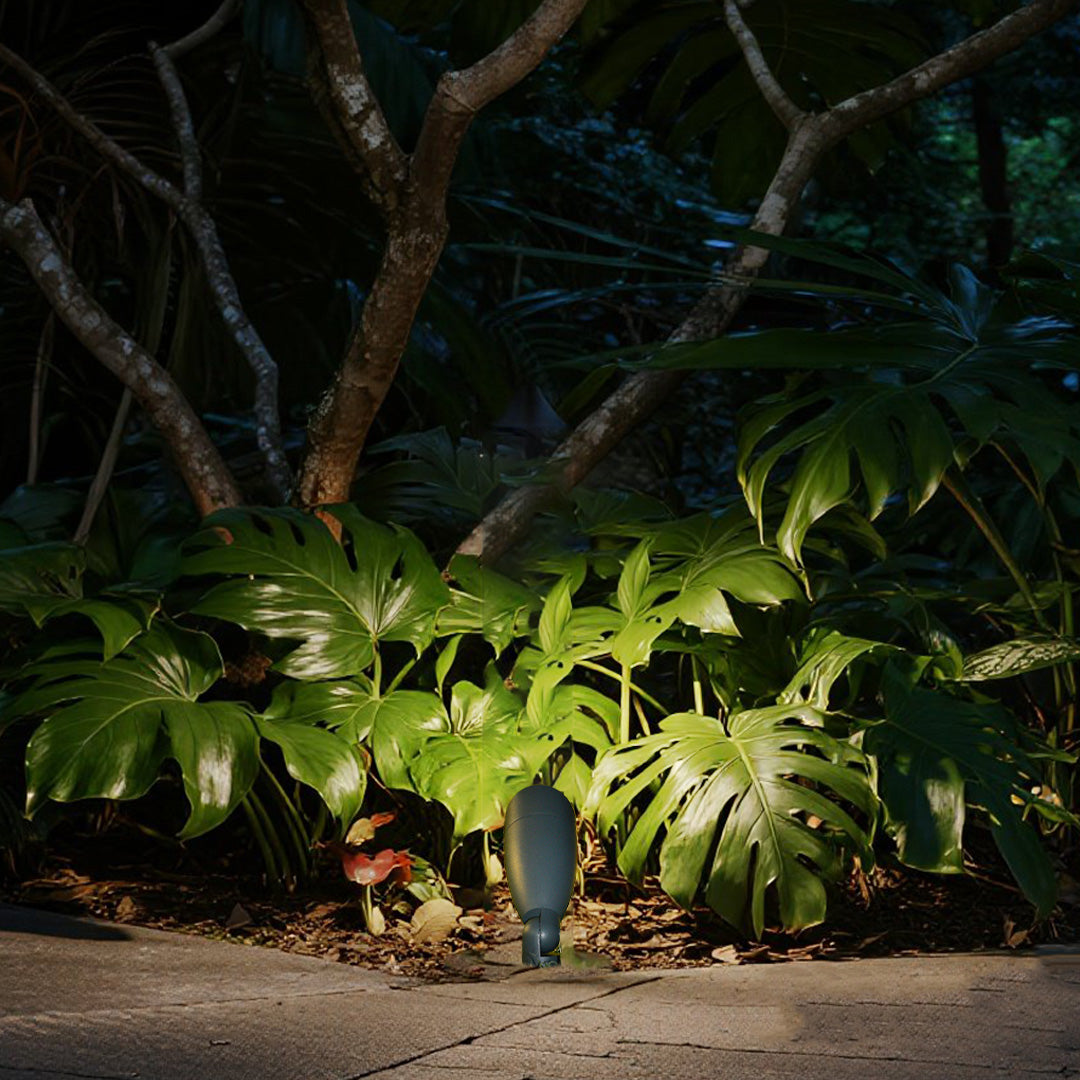 Golden uplighting dramatically illuminating tree trunks and ferns in nighttime landscape design
