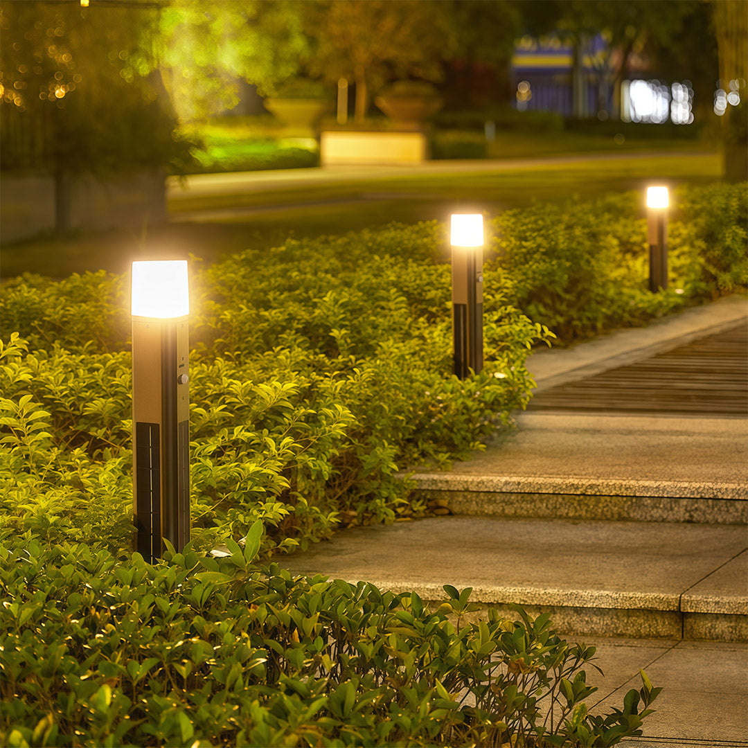 Solar bollard lighting in black, installed near greenery, providing soft and sustainable outdoor lighting.