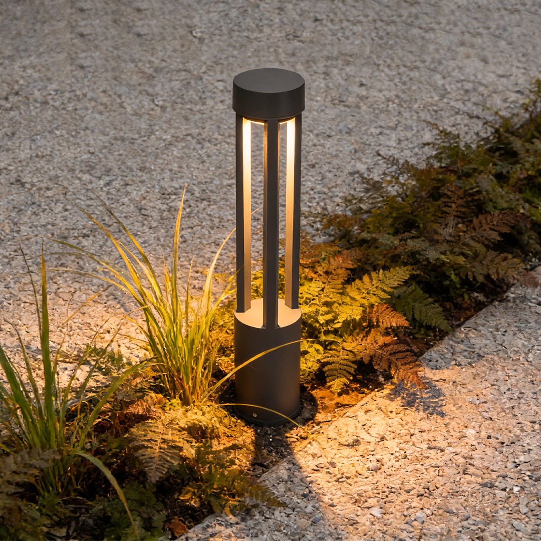 LED bollard path lights illuminating plants beside a residential path, showing a modern black bollard design with warm vertical lighting.