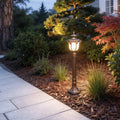 LED lawn lights illuminating a modern garden pathway with warm ambient glow.