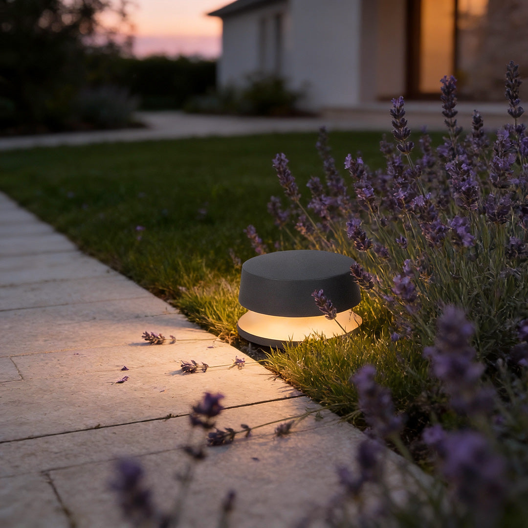 Compact LED outdoor landscape lights set near flowering plants, adding soft accent lighting along a residential walkway.