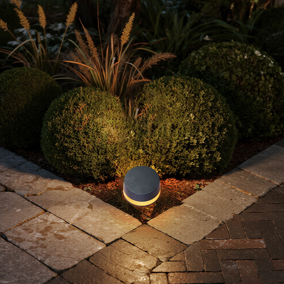 LED outdoor landscape lights illuminating shrubs and paving stones, creating depth and structure in a landscaped corner.