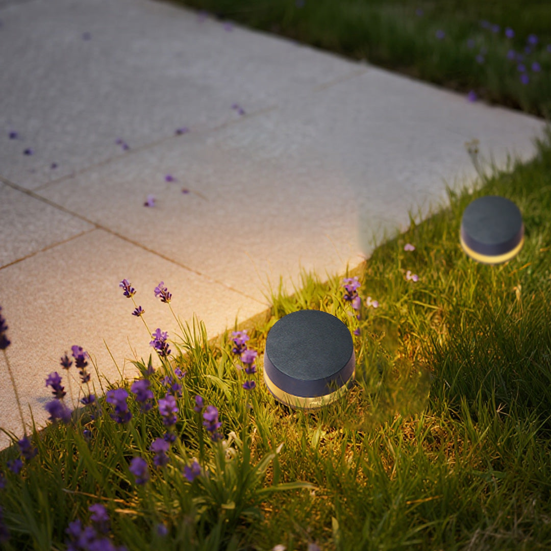 Modern LED outdoor landscape lights embedded beside a sidewalk, highlighting grass borders with a gentle downward glow.