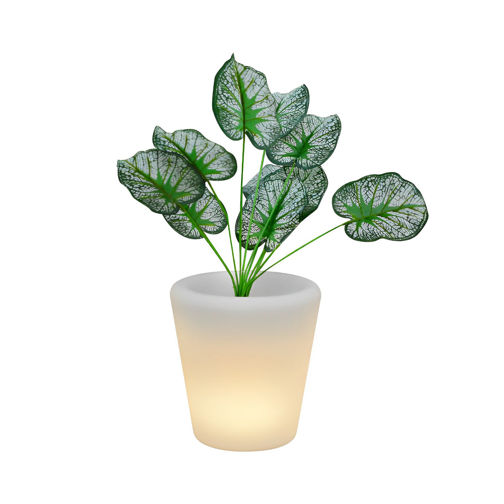Luminous flower pots with dimensions, highlighting the drainage hole and size.