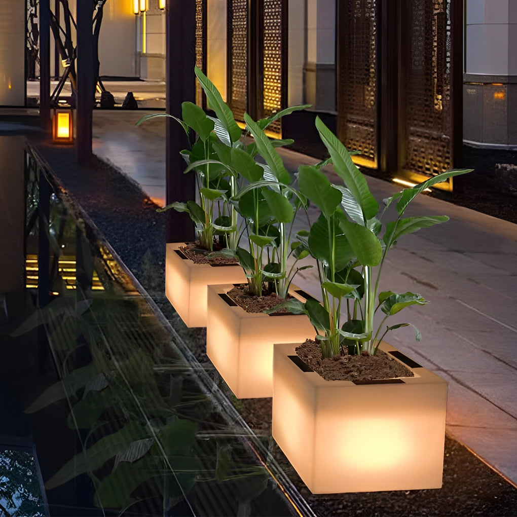 Luminous flower pots with a modern design, enhancing a contemporary outdoor setting.