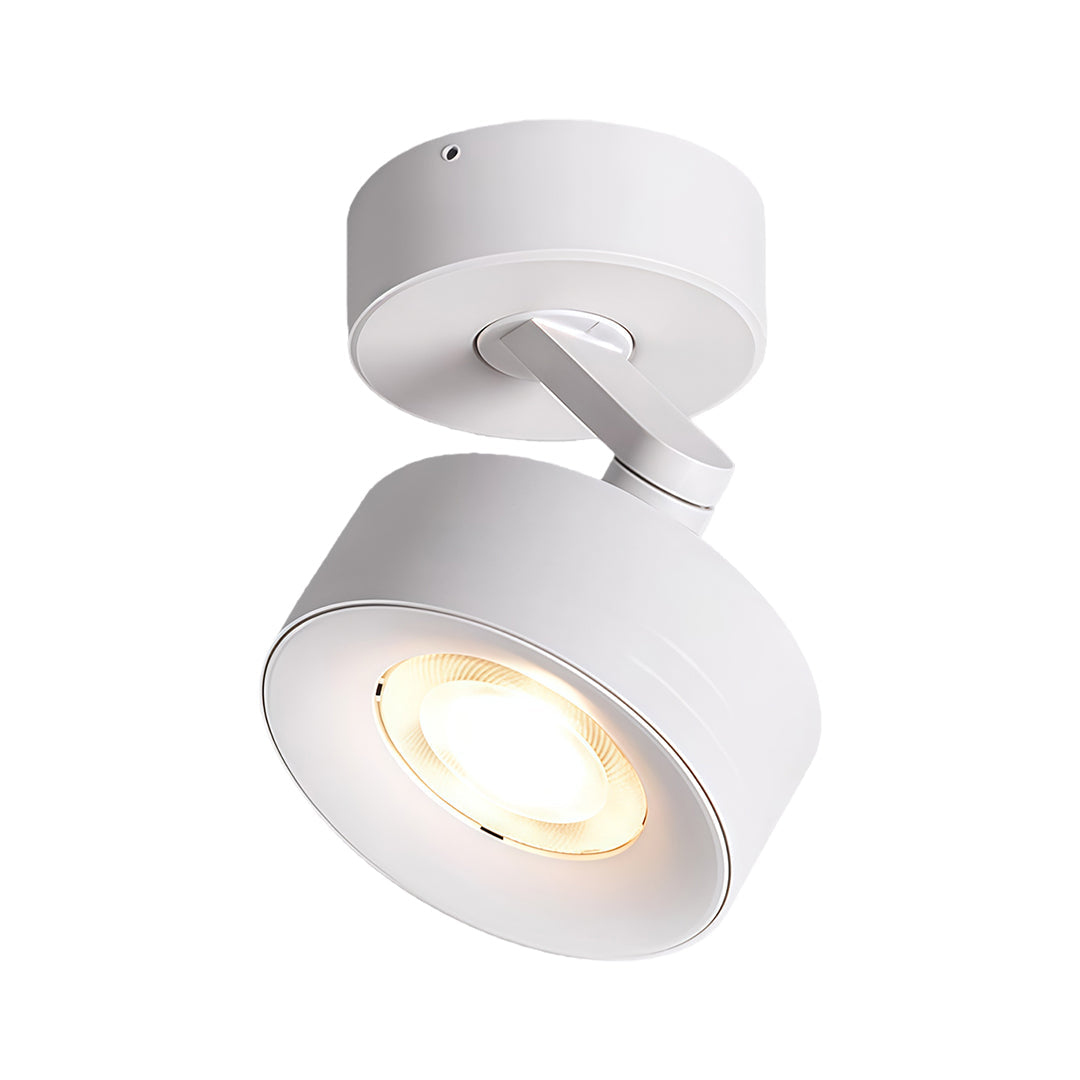 Achieve targeted lighting with adjustable LED ceiling spotlights, offering directional light for a sleek and modern look in living rooms, kitchens, and more.