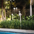 Multiple white mushroom outdoor landscape lights creating beautiful pathway illumination along poolside landscaping