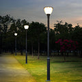 Multiple street lamps illuminating public park pathways with warm evening lighting