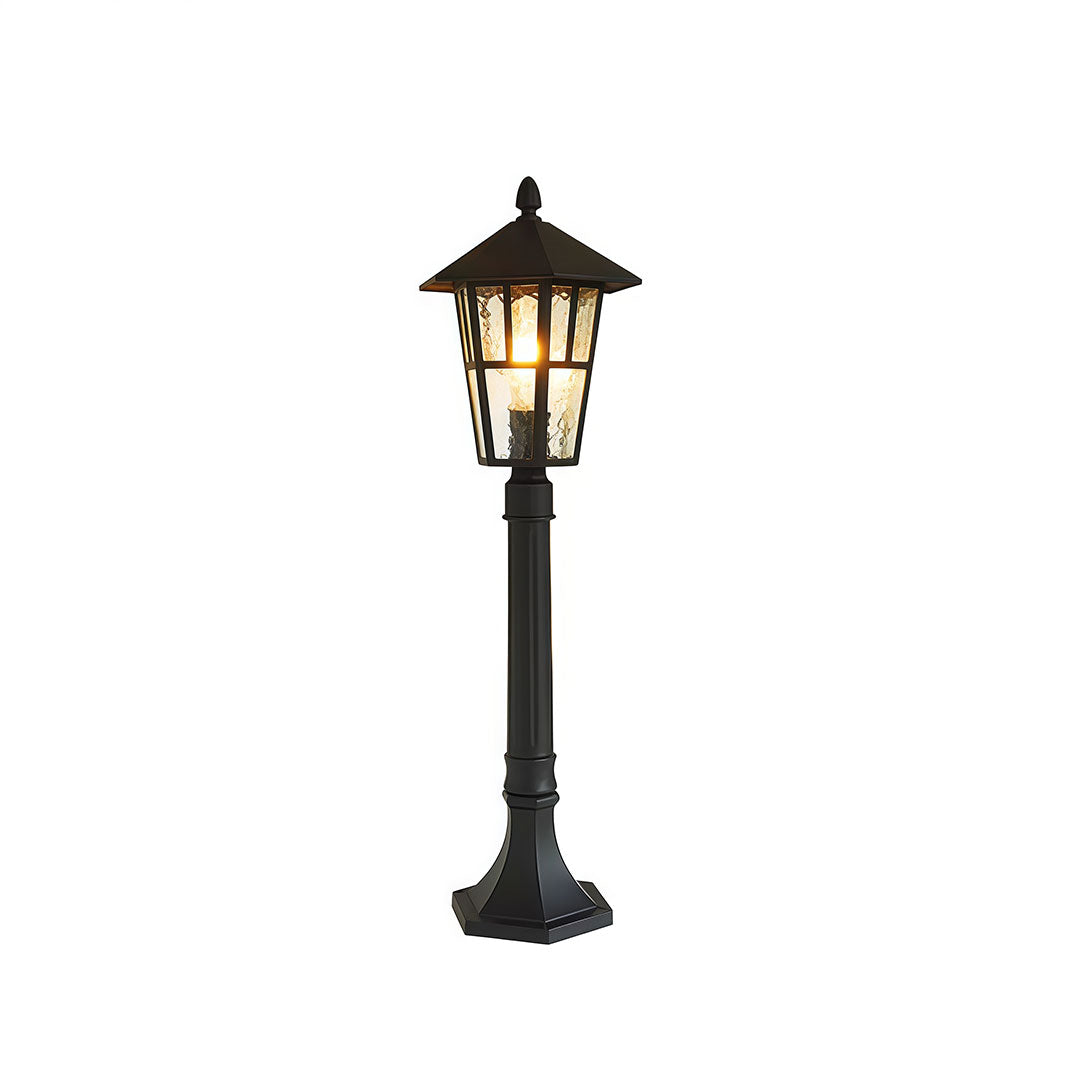 Outdoor landscape path lighting with a black finish, illuminating a garden path.