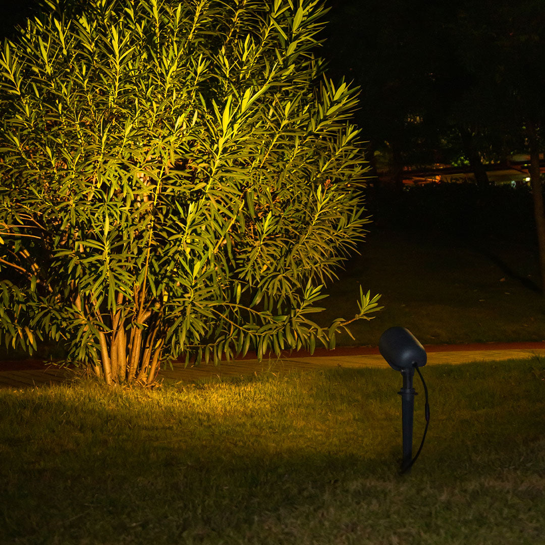 Outdoor spotlight illuminating golden autumn foliage and shrubs with warm accent lighting at night