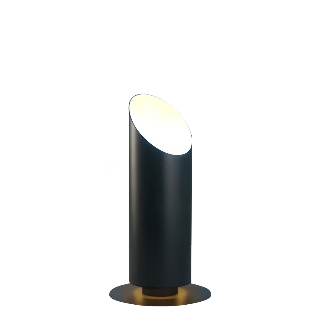 Pair of isolated black landscape tree up lighting fixtures on a white background, showcasing the slanted top and warm light output.