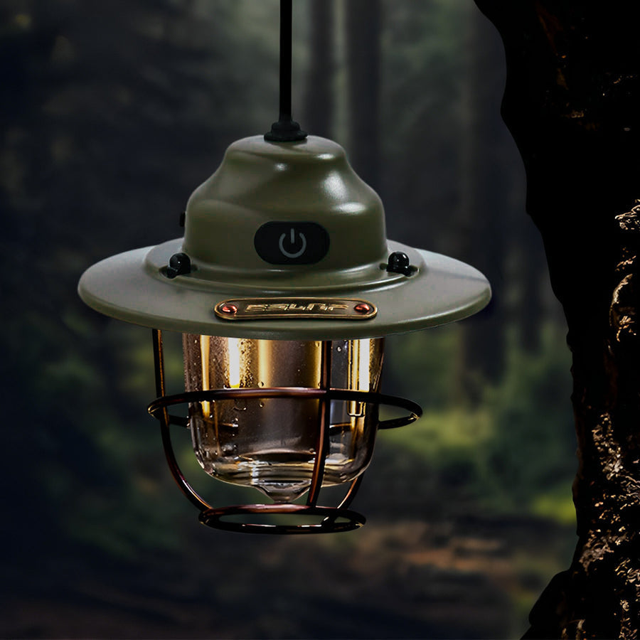 Portable hanging light with a black finish, illuminating a garden pathway at night.