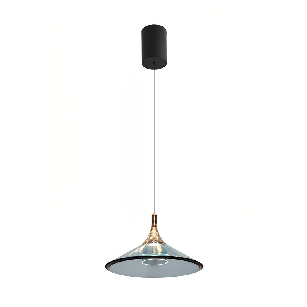 Modern aluminum and acrylic rise and fall pendant lights create functional and elegant ceiling illumination for contemporary home décor.