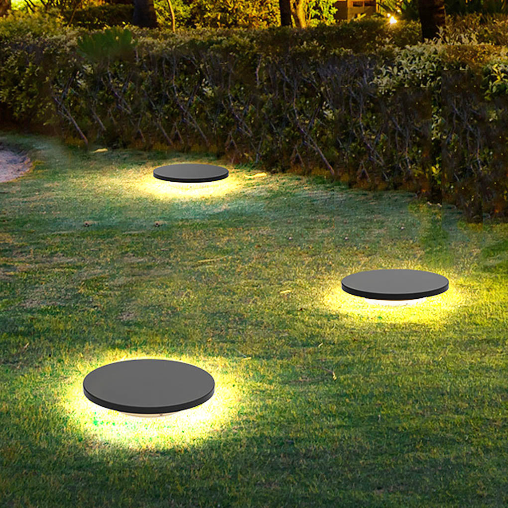 Round lawn light used as accent lighting in a residential yard