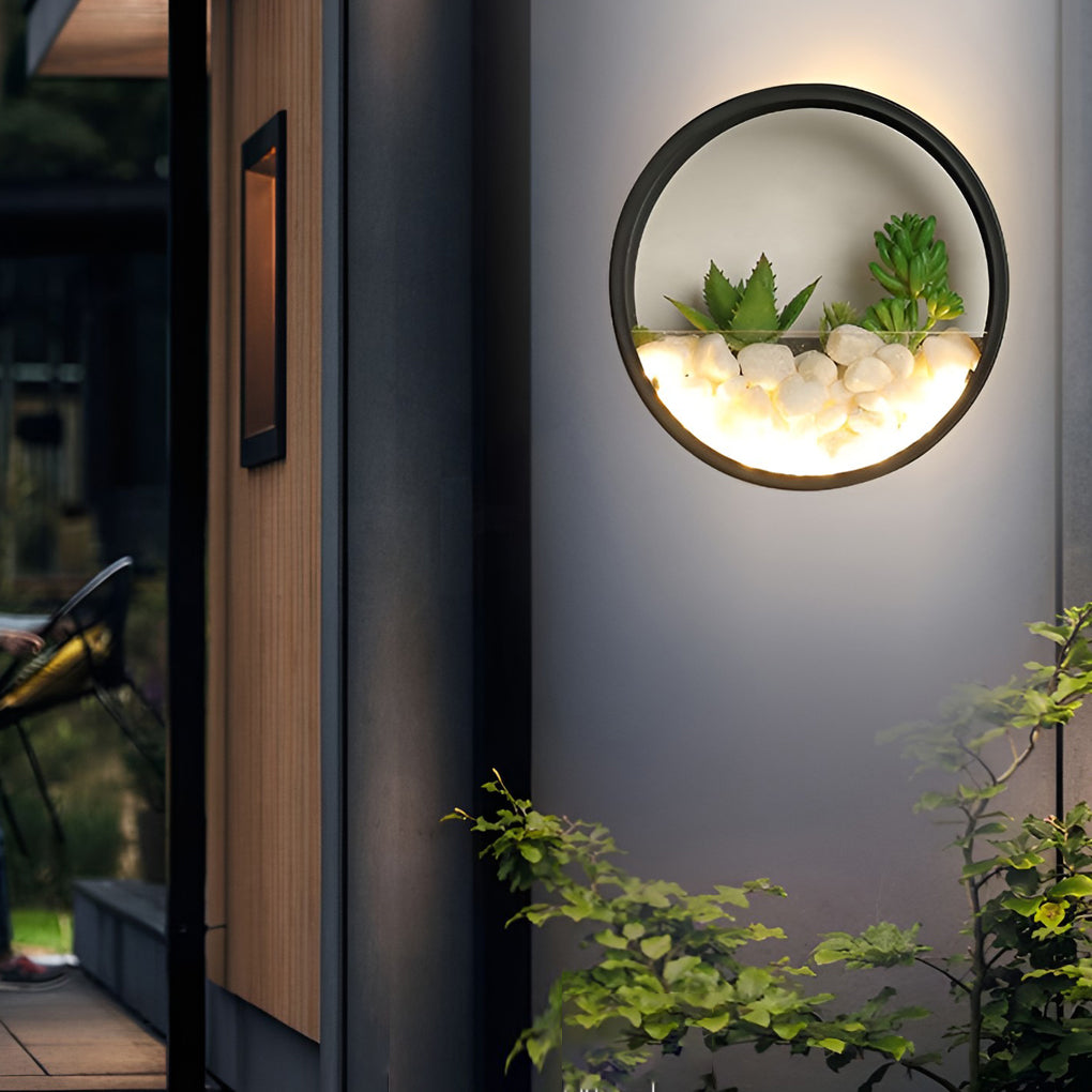 Round plant wall lamp illuminating a minimalist outdoor space with focused light.