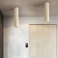 Single cylinder downlight mounted on a white ceiling, offering focused and elegant lighting in a modern interior.
