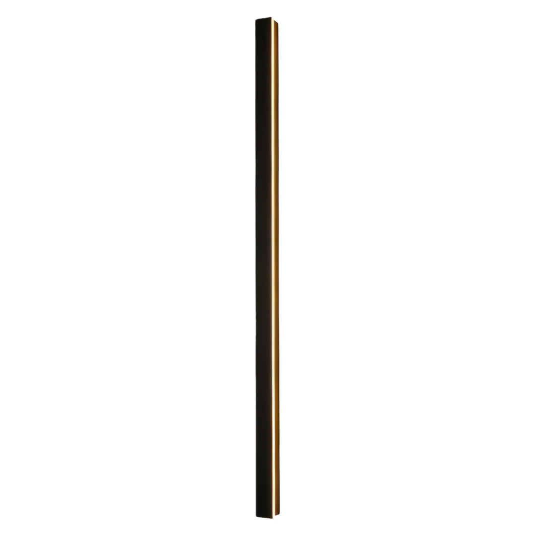 Slim long outdoor wall light with vertical LED strip, providing minimalist and contemporary lighting.