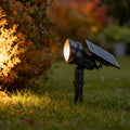 Lawn spot lights with solar panel and adjustable head, illuminating garden shrubs for warm outdoor ambiance