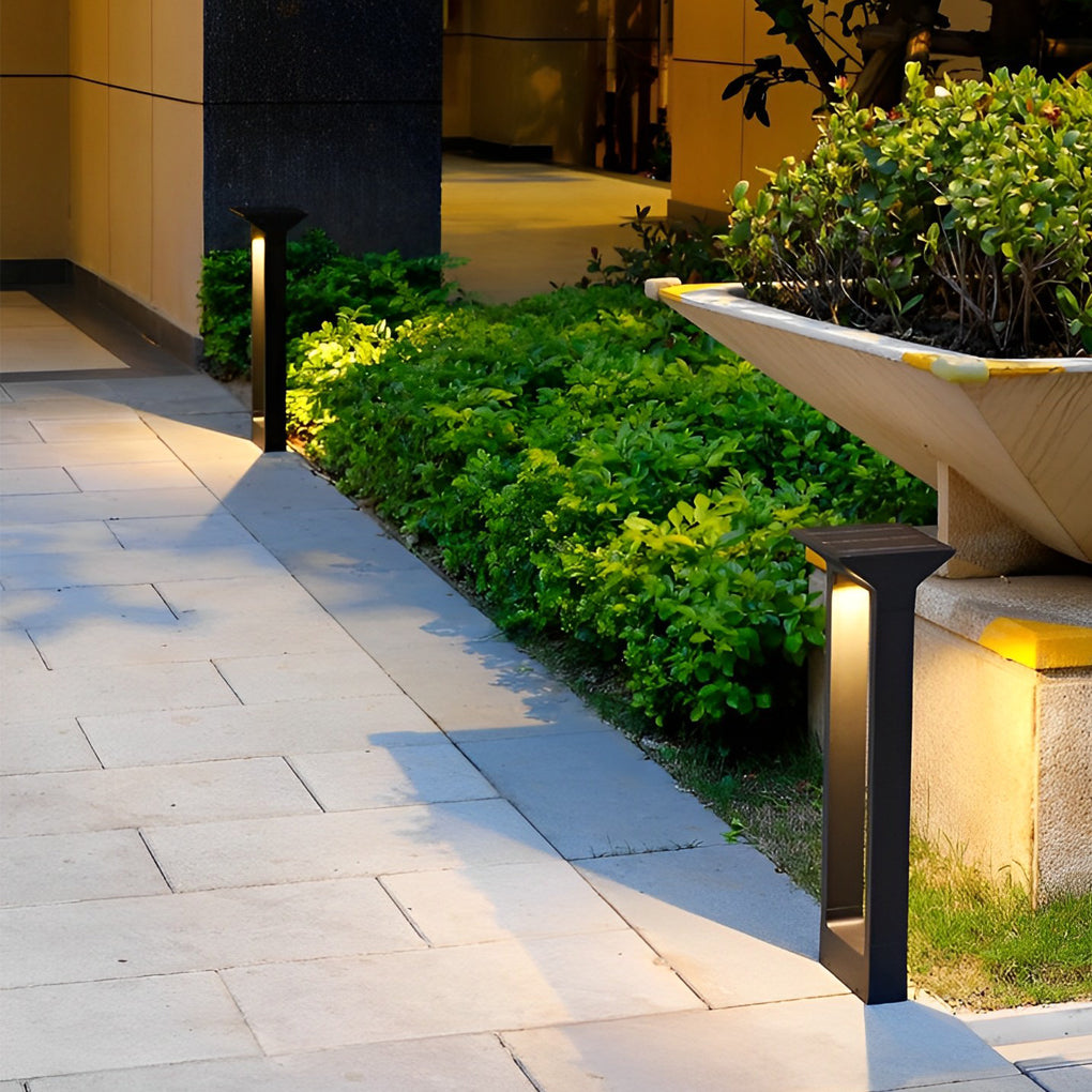 Tall black solar pathway outdoor lamp highlighting landscaped garden plants at night.