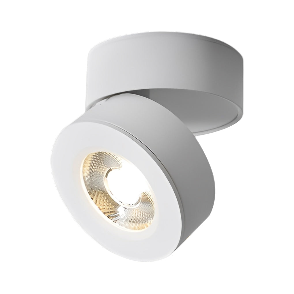 Surface mounted adjustable spotlight in black, providing focused light for modern interior spaces.