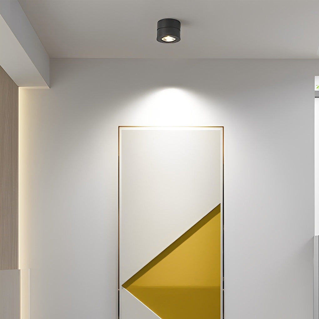 Surface mounted adjustable spotlight in black and white, showcasing its sleek and modern design.