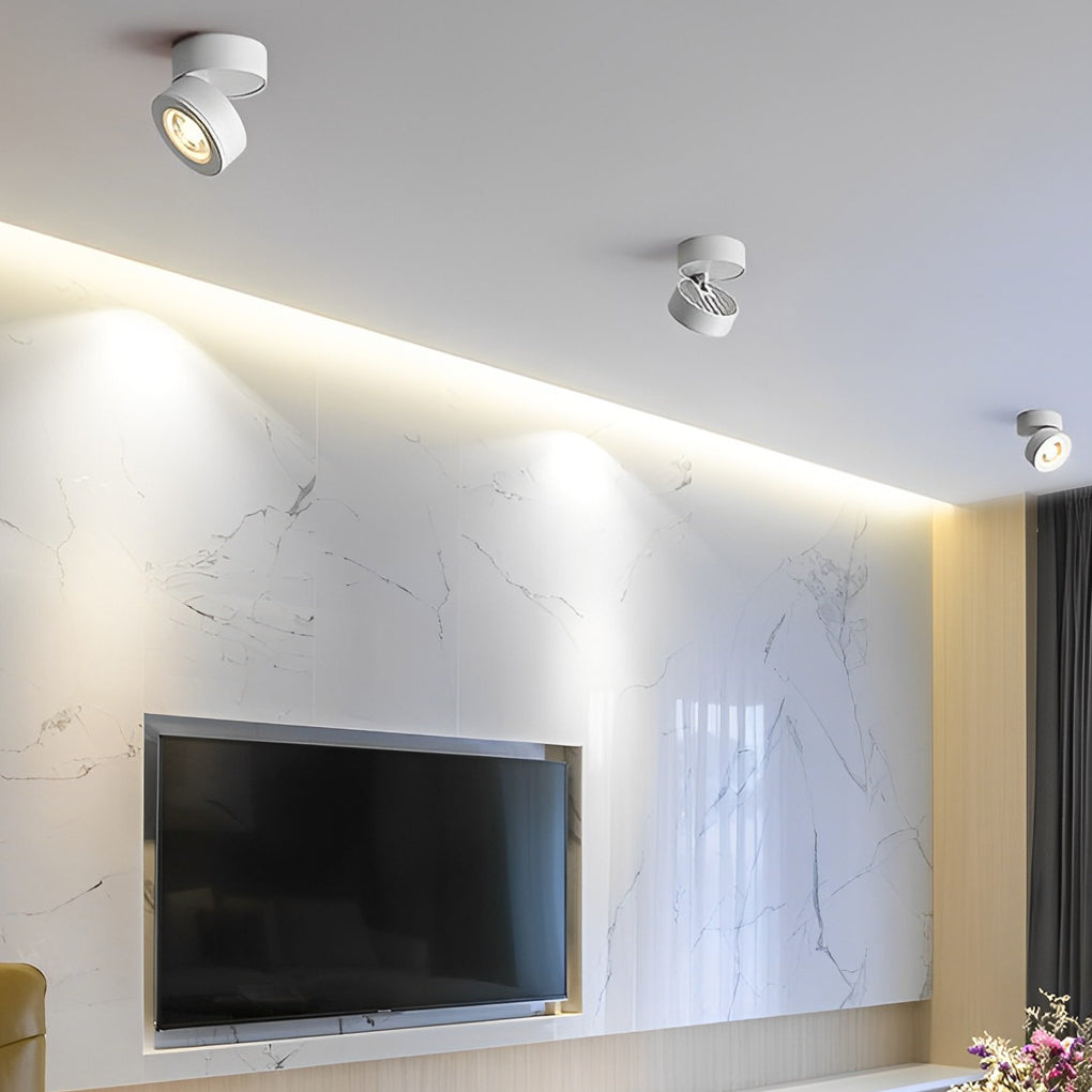 Surface mounted adjustable spotlight with a modern design, illuminating a hallway with artwork.
